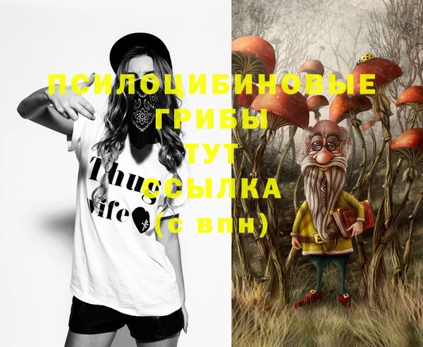 бошки Абдулино