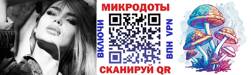 сколько стоит  Курлово  маркетплейс клад  Псилоцибиновые грибы Magic Shrooms 